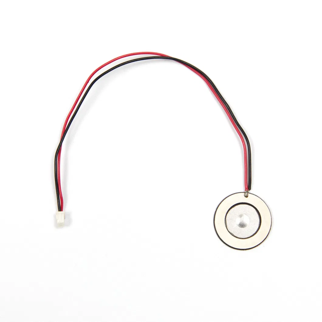 Piezo Ultrasonic Atomizer Transducer Whtf100-16D-1