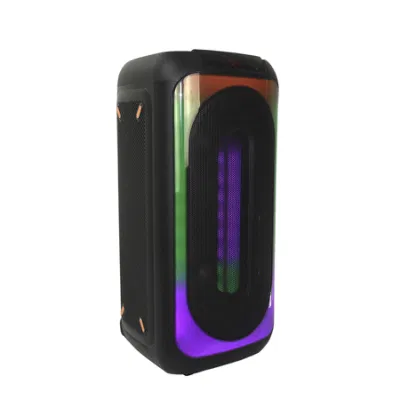 2023 Neuankömmling: Duale 8,5-Zoll-20-W-Audiobox für Karaoke mit attraktiven, leichten, kabellosen, tragbaren Bluetooth-Lautsprechern