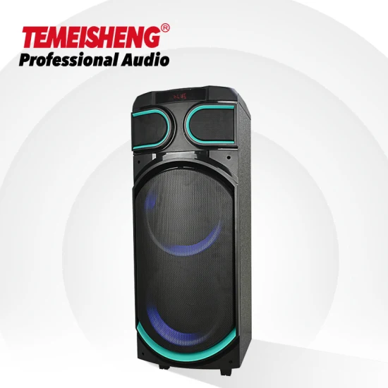 Temeisheng 8 Zoll Party Box 100 Watt Professioneller tragbarer kabelloser Audio-Bluetooth-Lautsprecher mit Mikrofon